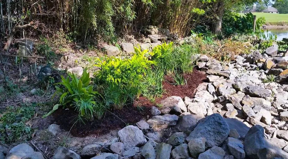 Rock Garden at the Golf Course by Megan Montgomery Design - Photo 2
