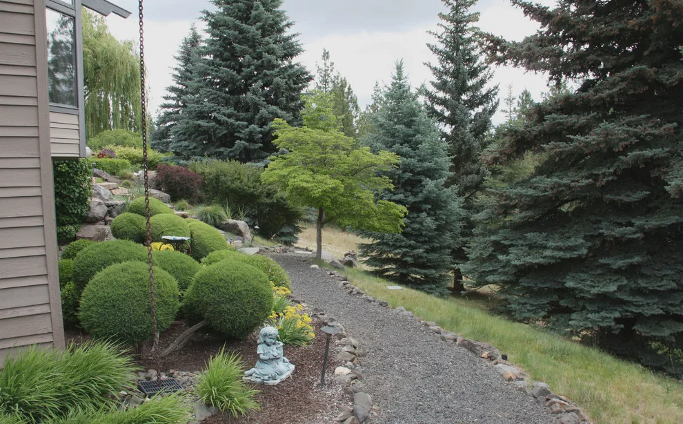Contemporary Hangman Valley by Pacific Garden Design - Photo 4