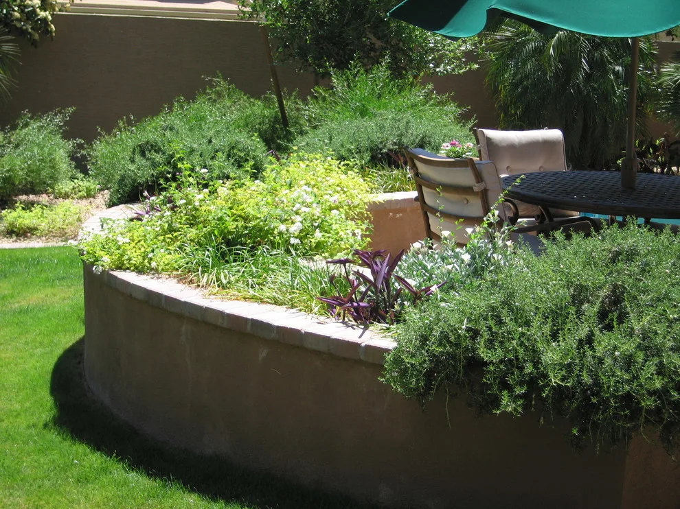 Joyful Unity! Vibrant Desert Plant Pairings by Living Rooms Landscape Design - Photo 7