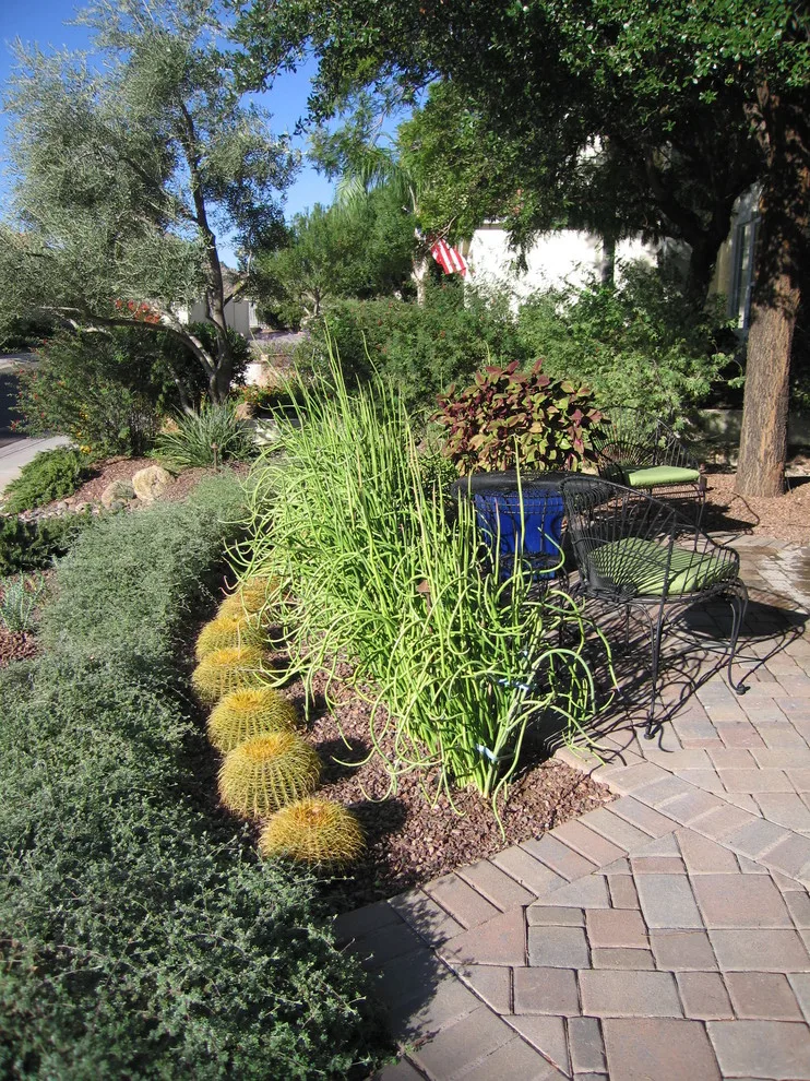Joyful Unity! Vibrant Desert Plant Pairings by Living Rooms Landscape Design - Photo 10