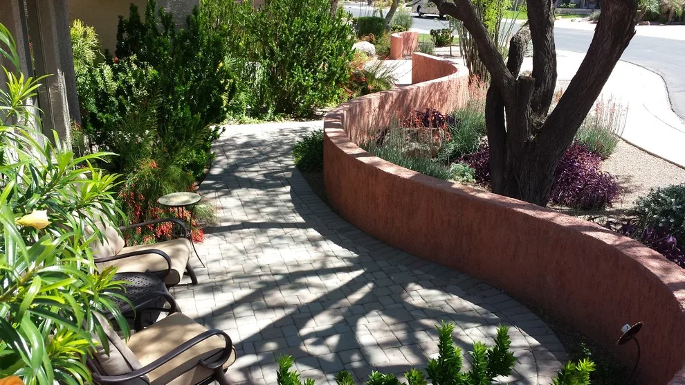 Desert Flora and Lime Wash Stucco by Living Rooms Landscape Design - Photo 2