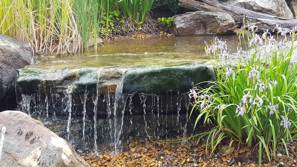 Patios and Hardscapes by Haynes Outdoor Solutions - Photo 10