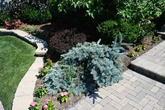 A&E Landscaping - Photo 6