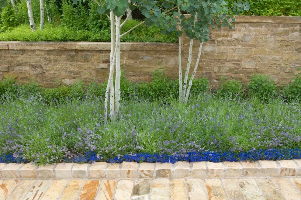 Elevated Garden Terrace by Design Workshop, INC. - Photo 8