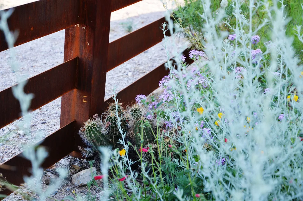 Red Bark Design, LLC - Photo 6
