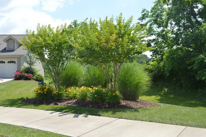 Residential Landscaping Initiative by Promier Landscapes - Photo 5