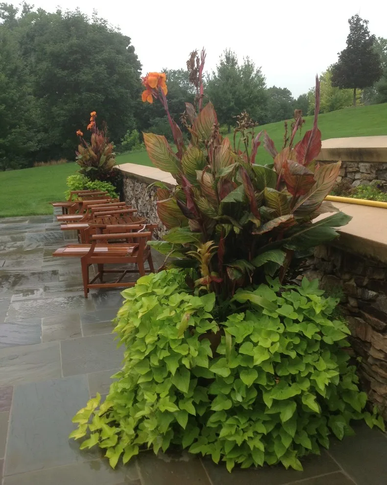 Del's Garden Center - Photo 10