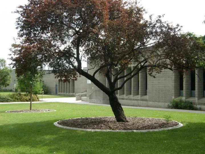 Abbotswood Design Group - Photo 13