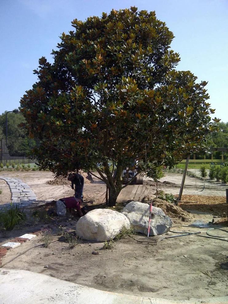 Dora Lake Home by Stephanie Appel, Proffessional Landscape Architect - Photo 6