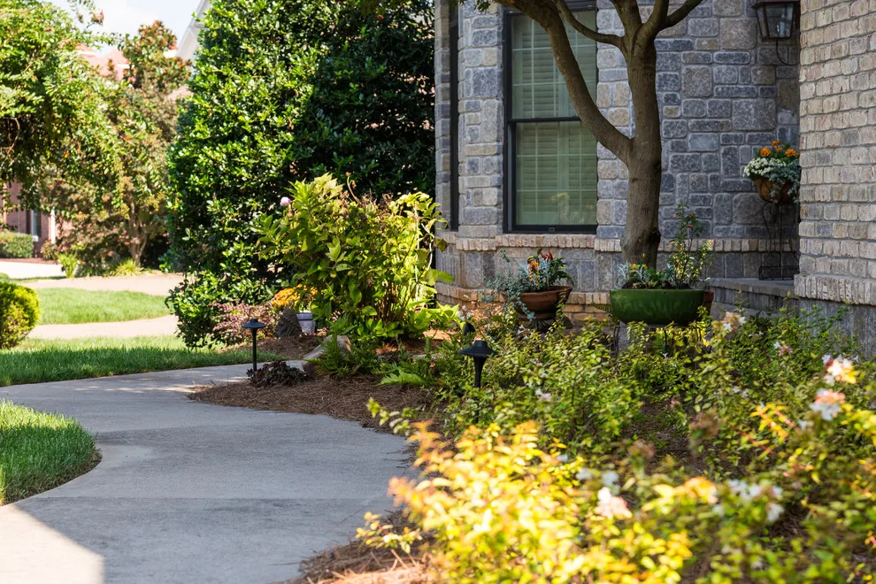 The Lawn Butler - Photo 14
