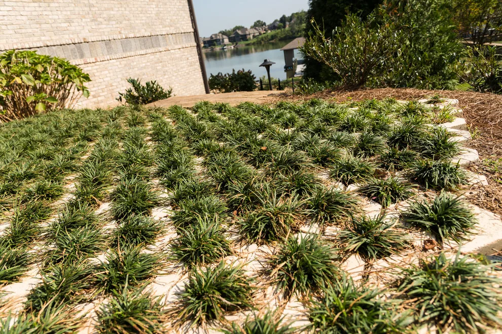 Lake House Transformation by The Lawn Butler - Photo 4