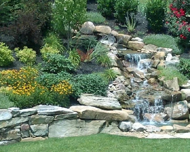 The Easy Gardener - Photo 4