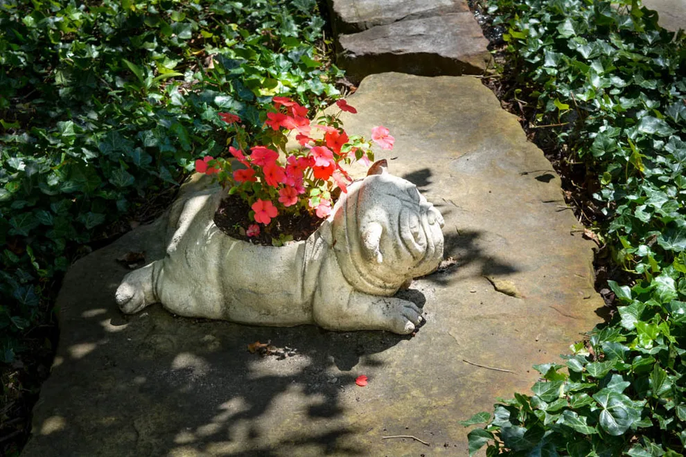 Paragon Landscape Inc - Photo 13
