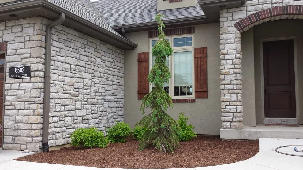 Scenery by Haynes Outdoor Solutions - Photo 13