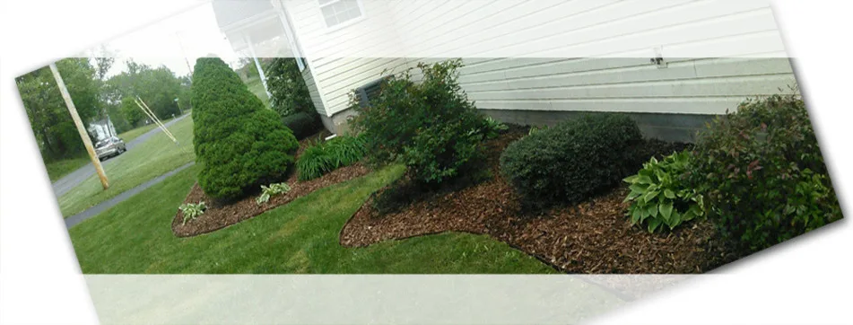 Complete Creations Landscaping - Photo 4