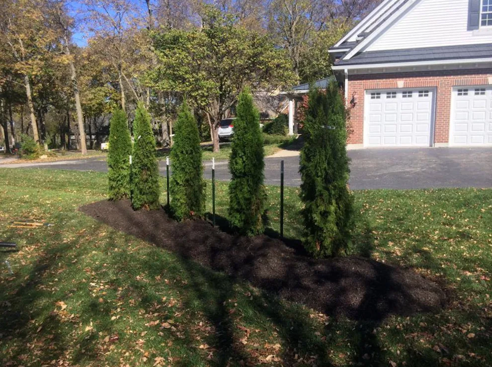 E Z Lawn And Landscape, LLC - Photo 3