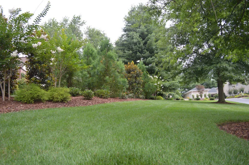 Driveway Landscaping Project by Promier Landscapes - Photo 8