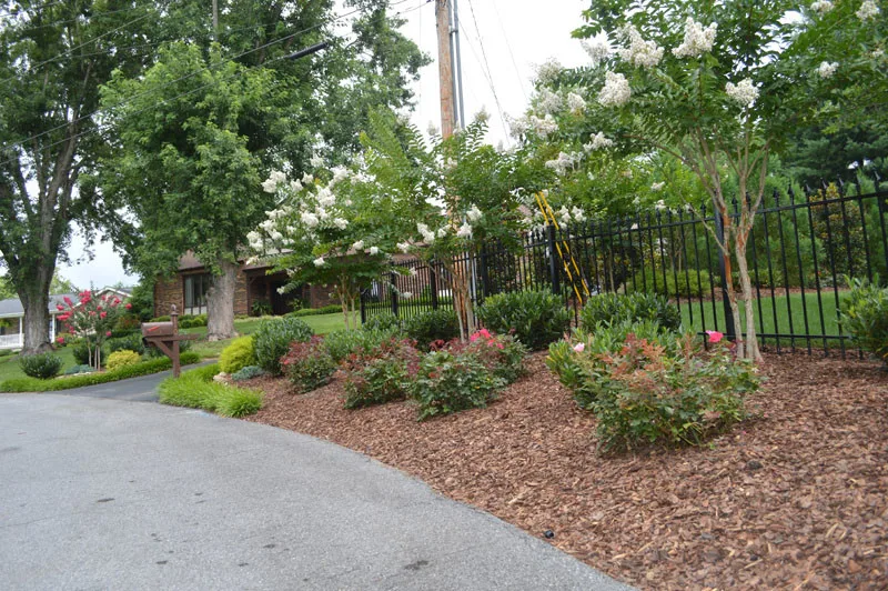 Driveway Landscaping Project by Promier Landscapes - Photo 6