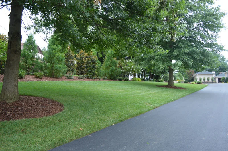 Driveway Landscaping Project by Promier Landscapes - Photo 7