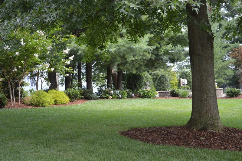 Driveway Landscaping Project by Promier Landscapes - Photo 5