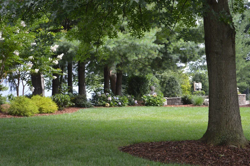 Driveway Landscaping Project by Promier Landscapes - Photo 3
