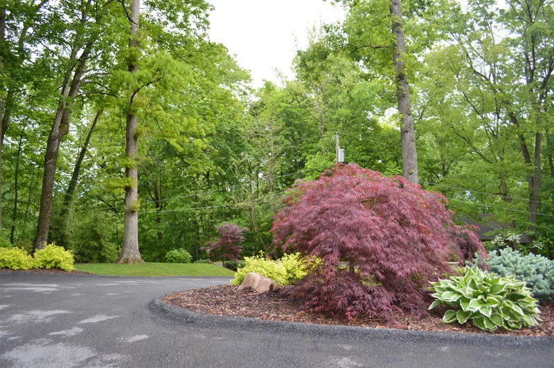 Front Yard with Landscaping by Promier Landscapes - Photo 3