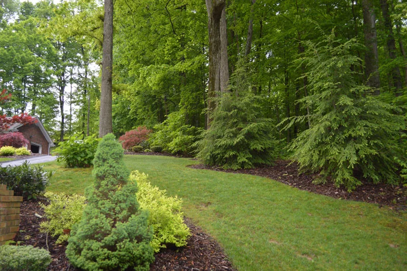 Front Yard with Landscaping by Promier Landscapes - Photo 11