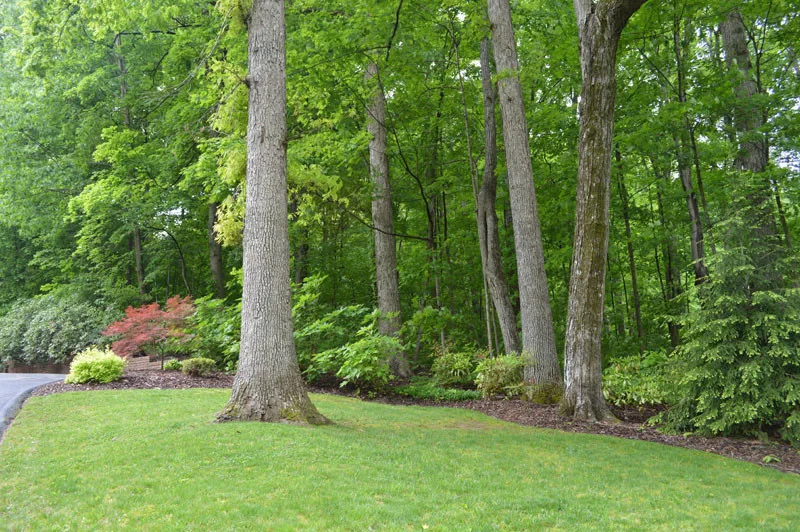 Front Yard with Landscaping by Promier Landscapes - Photo 9