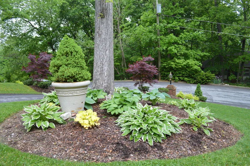 Front Yard with Landscaping by Promier Landscapes - Photo 4