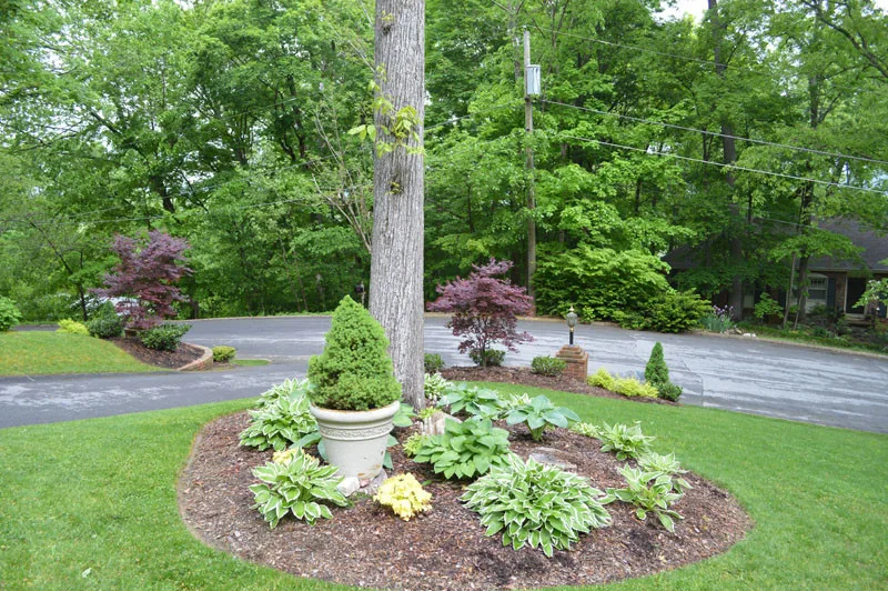 Front Yard with Landscaping by Promier Landscapes - Photo 5