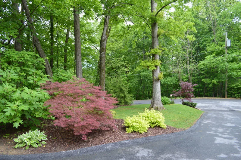 Front Yard with Landscaping by Promier Landscapes - Photo 12