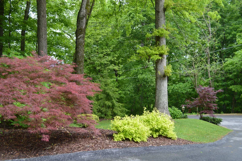 Front Yard with Landscaping by Promier Landscapes - Photo 14