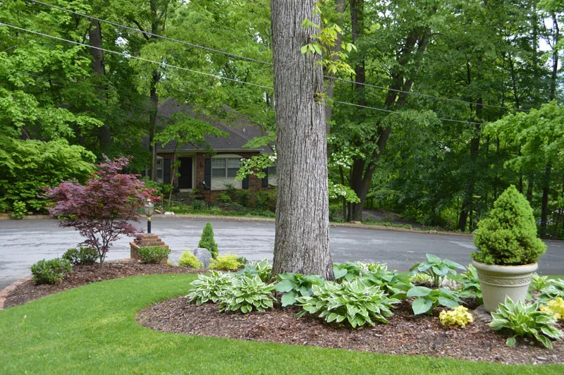 Front Yard with Landscaping by Promier Landscapes - Photo 8