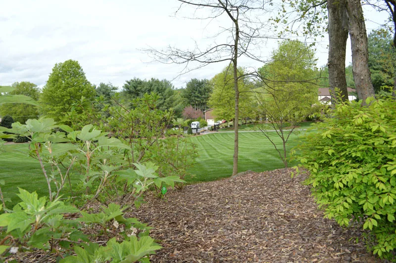 Gardened Residence by Promier Landscapes - Photo 2