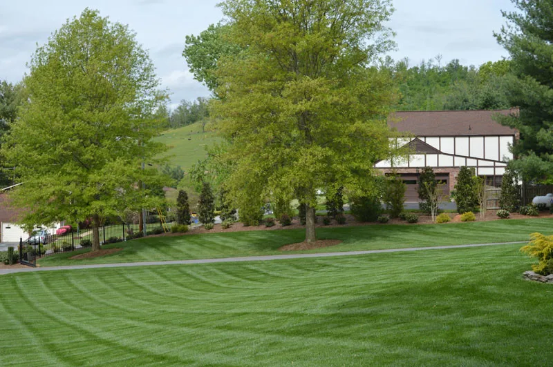 Gardened Residence by Promier Landscapes - Photo 8