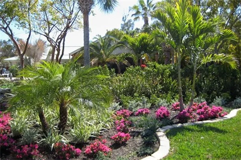 Jesus Hernandez Landscaping & Design - Photo 4