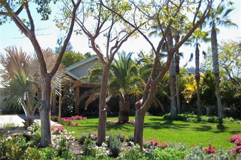 Jesus Hernandez Landscaping & Design - Photo 5