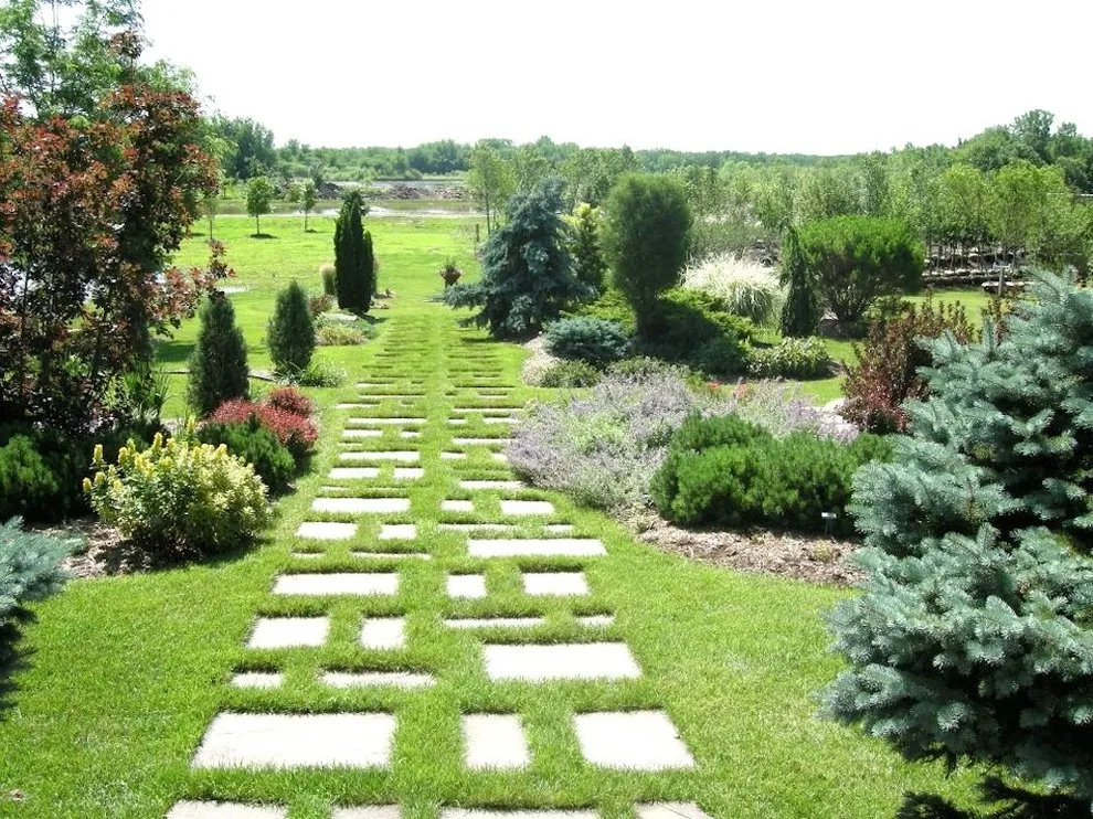 Wright Outdoor Solutions - Photo 6