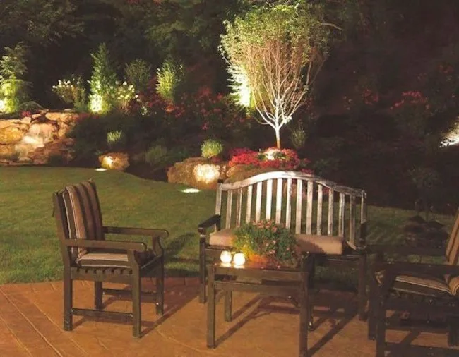 The Easy Gardener - Photo 9