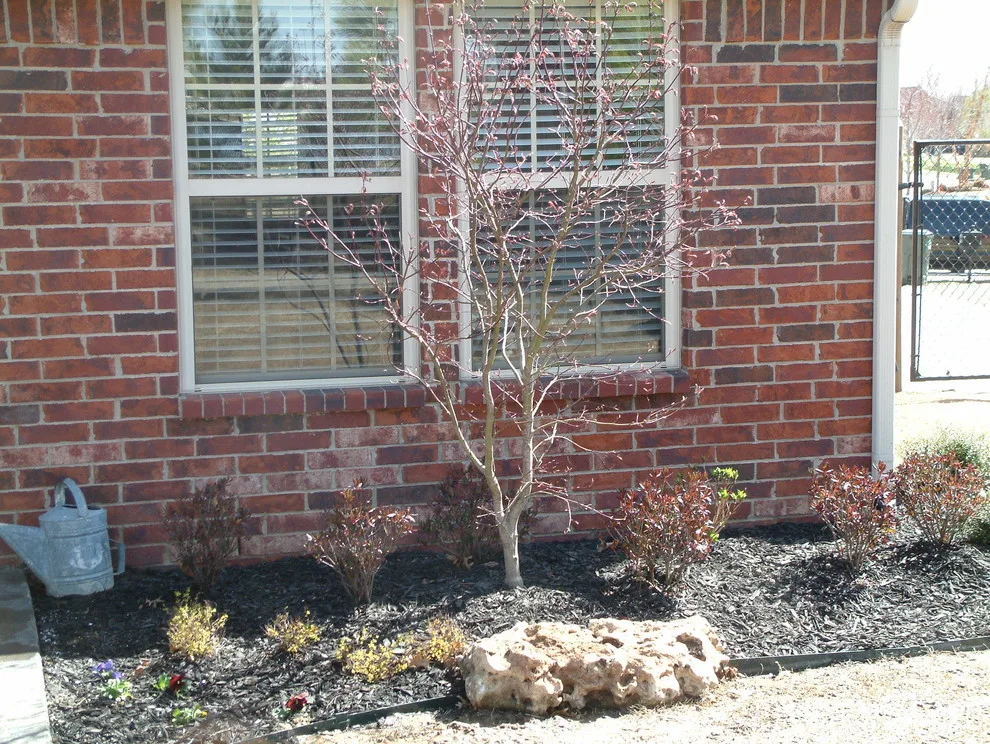 Landscaping for New Developments by Alpine Construction & Design, LLC - Photo 13