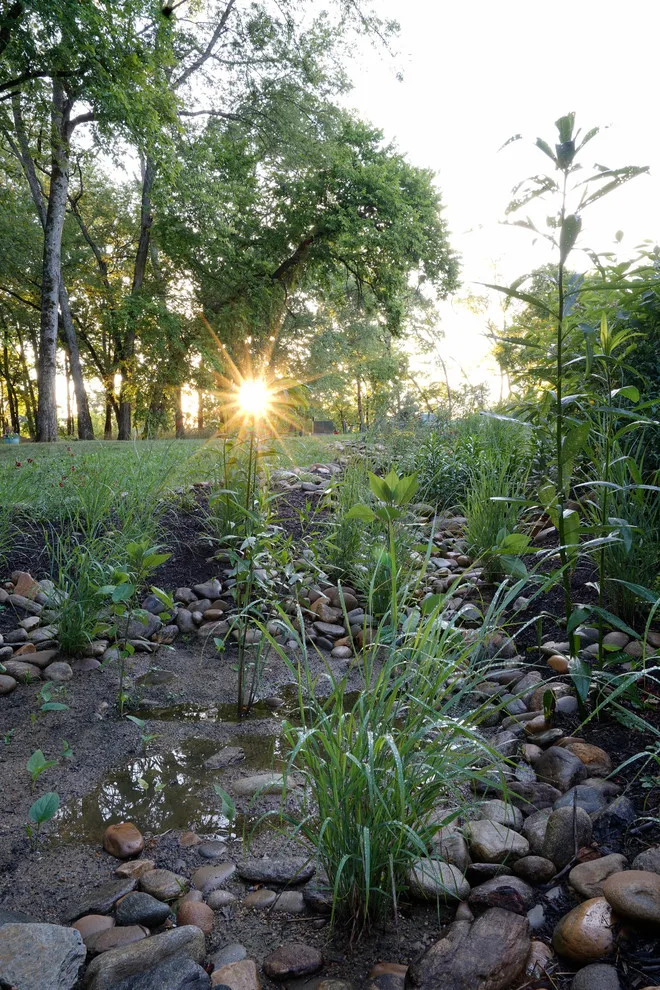 Expansive Residential Rain Garden by Gardner Monaco Design - Photo 8
