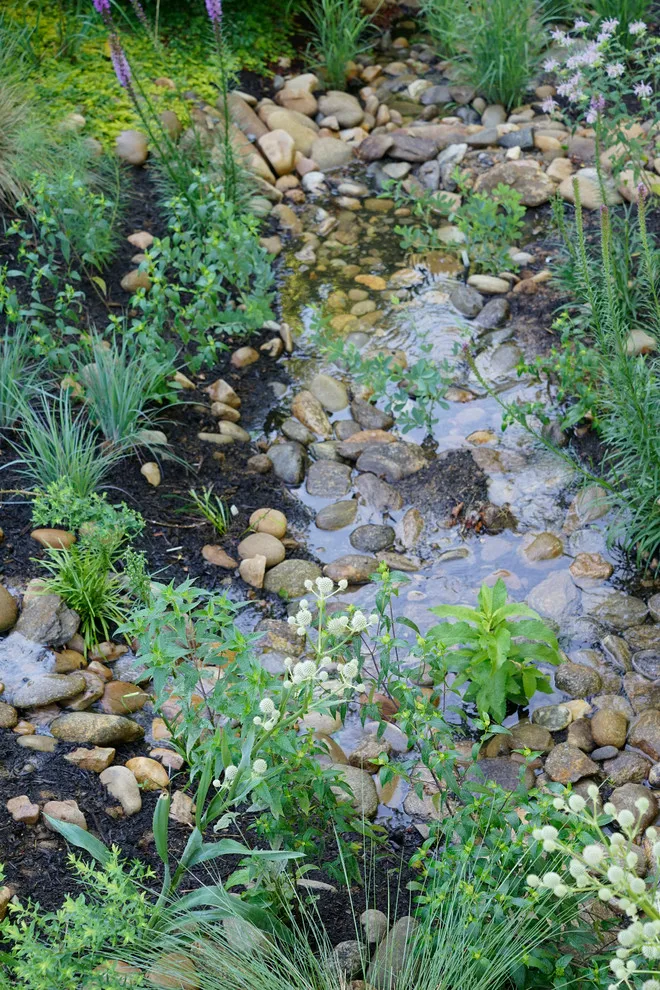 Expansive Residential Rain Garden by Gardner Monaco Design - Photo 7