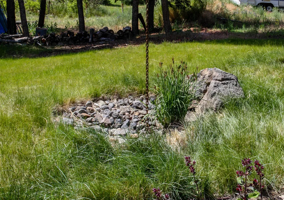 Latah Creek Farmstead by Pacific Garden Design - Photo 7