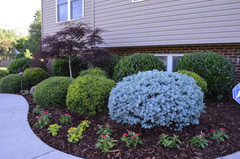 Garden Transformation with Water Feature by Promier Landscapes - Photo 6