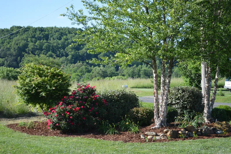 Garden Transformation with Water Feature by Promier Landscapes - Photo 10