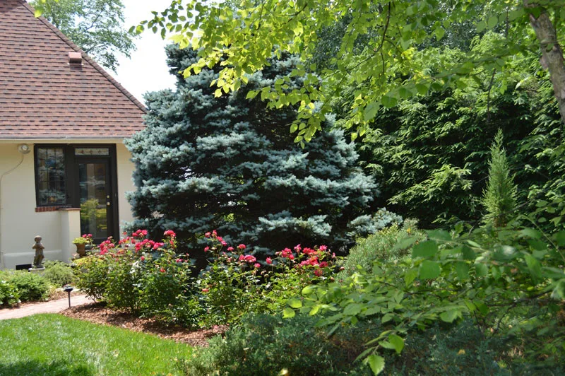 Garden Transformation with Water Feature by Promier Landscapes - Photo 14