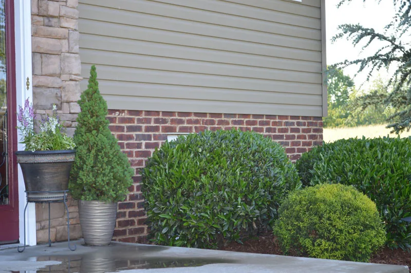 Garden Transformation with Water Feature by Promier Landscapes - Photo 9