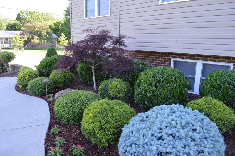Garden Transformation with Water Feature by Promier Landscapes - Photo 4