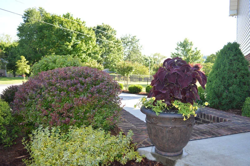 Garden Transformation with Water Feature by Promier Landscapes - Photo 13