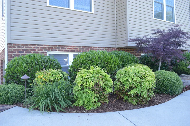 Garden Transformation with Water Feature by Promier Landscapes - Photo 12